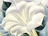 White Flower